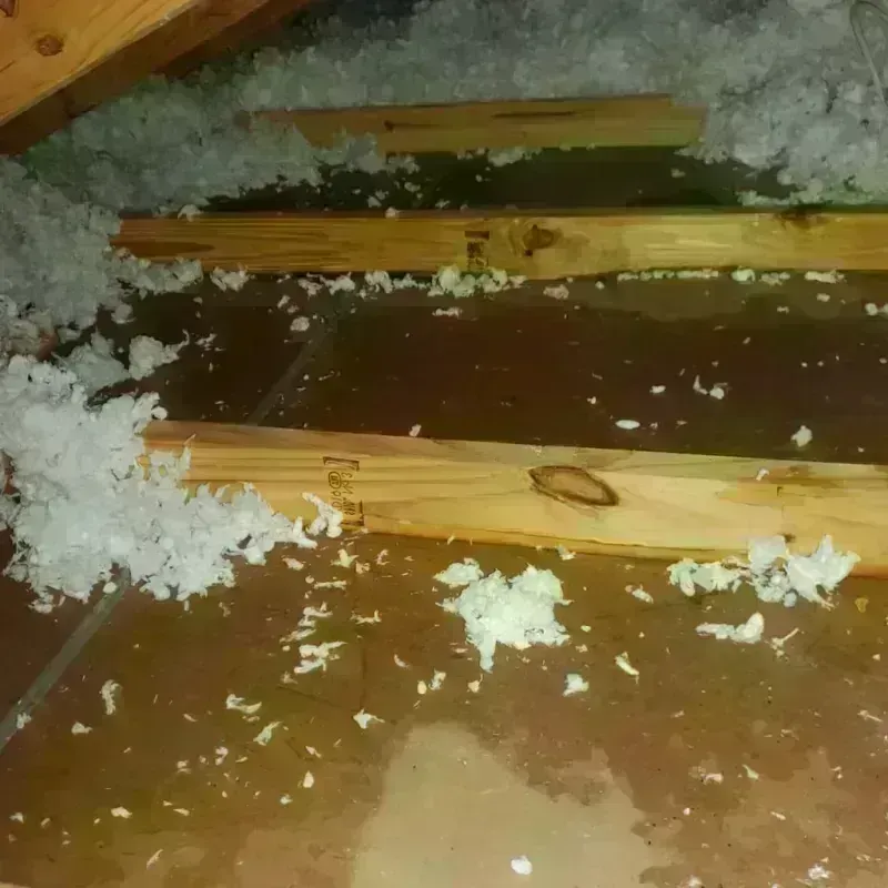 Attic Water Damage in Newcastle, WY