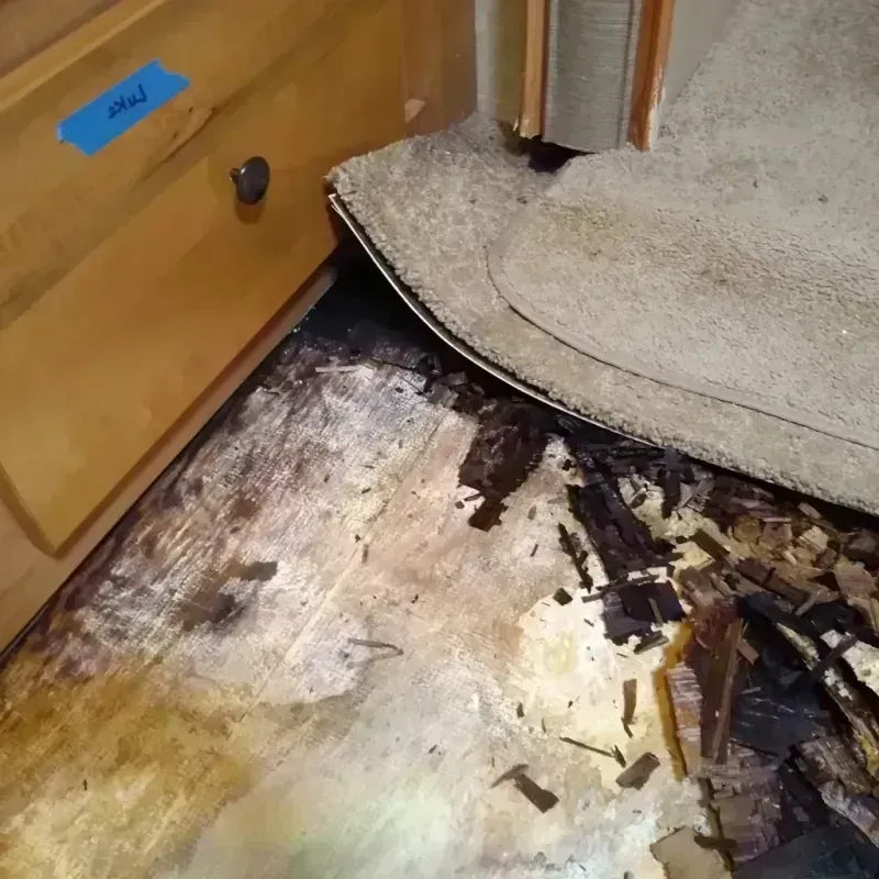 Wood Floor Water Damage in Newcastle, WY